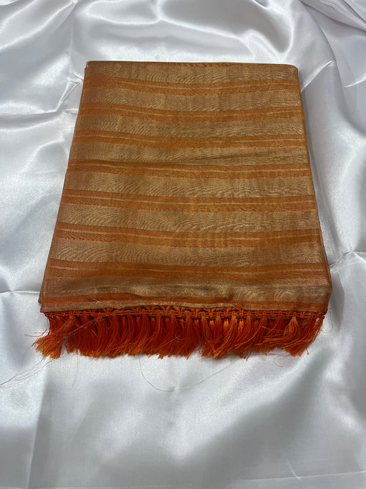 Jimmy Choo Tissue silk saree